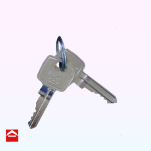 Replacement keys for letterbox. Set of two keys on a keyring